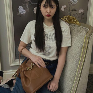 디올 체스트 디올 레더 미디움 버킷백 브라운 (예리,수샤샤 착용)